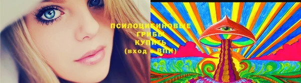 прущий лед Михайловка