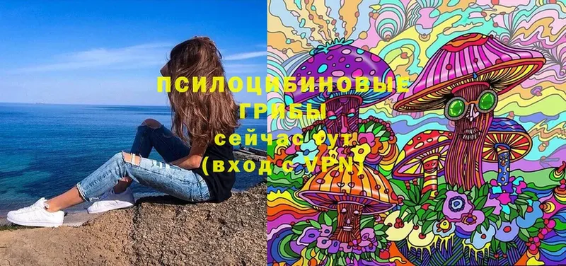 как найти наркотики  блэк спрут маркетплейс  Псилоцибиновые грибы Cubensis  Надым 