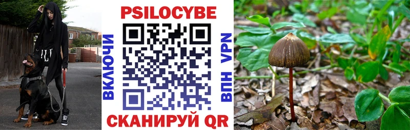 Галлюциногенные грибы Psilocybine cubensis  дарнет шоп  Надым 